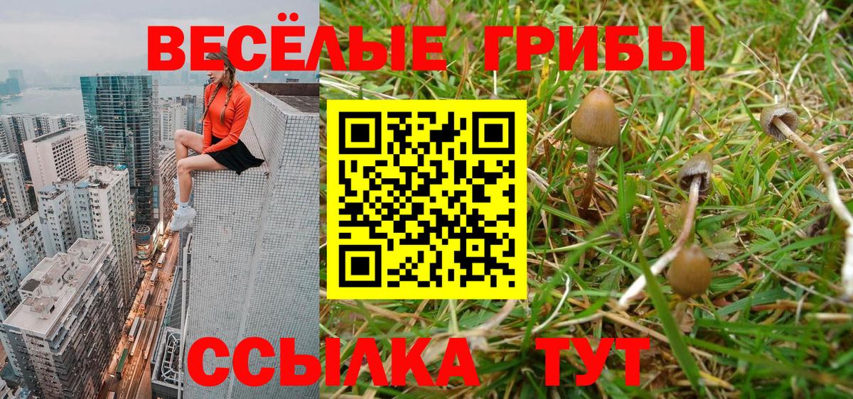 Галлюциногенные грибы Cubensis Сорочинск