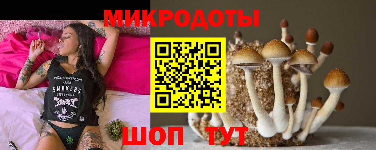 Сорочинск  Псилоцибиновые грибы MAGIC MUSHROOMS  Псилоцибиновые грибы Psilocybe  Вход с VPN 